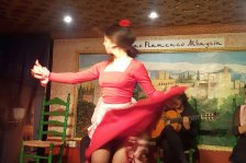 556 granada flamenco show